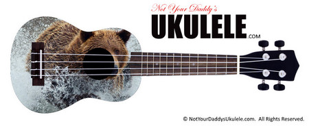 Buy Ukulele Animals Chase 