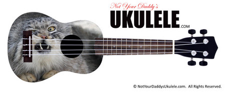 Buy Ukulele Animals Pissed 
