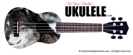 Buy Ukulele Animals Snowwolf 
