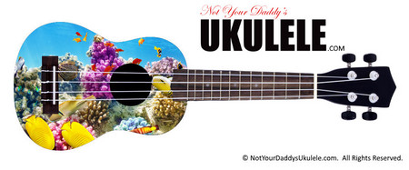 Buy Ukulele Fish Beautiful 