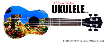 Buy Ukulele Fish Tank 