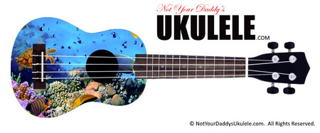 Buy Ukulele Fish Under 