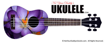 Buy Ukulele Flowers Special 