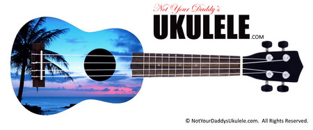Buy Ukulele Hawaiian Night 