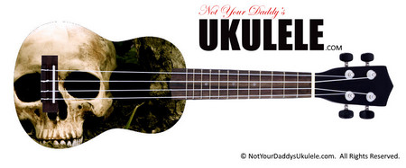 Buy Ukulele Popular Dug 
