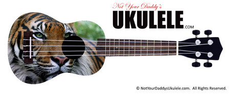 Buy Ukulele Popular Tiger 