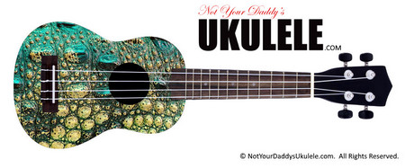 Buy Ukulele Skinshop Alligator Colors 