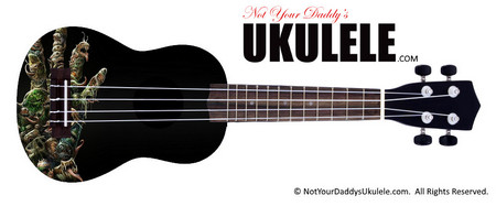 Buy Ukulele Relic Viral Handy 